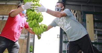 Foto: Divulgação/Sepror