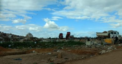 Foto: Ministério do Meio Ambiente