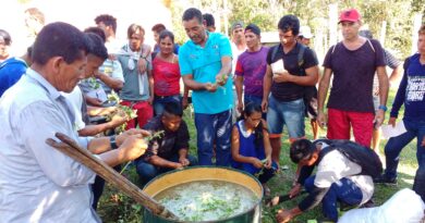 Foto: Divulgação/Inpa