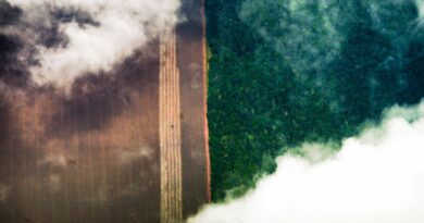 Foto: Marcelo Camargo/Agência Brasil