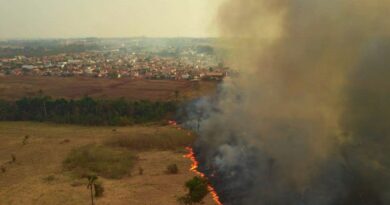 Foto: Divulgação/Secom-MT
