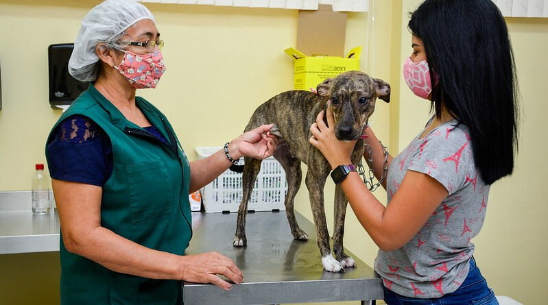 Foto: Valdo Leão/Semcom