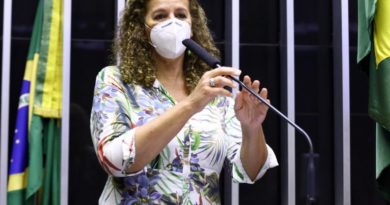 Cleia Viana - Câmara dos Deputados