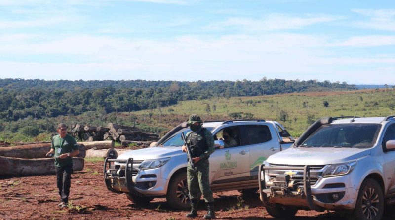 Operação Tamoiatá