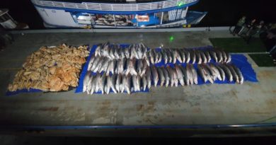 Mais de 16 toneladas de pescado ilegal são apreendidas durante ação integrada em Coari