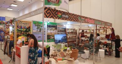 Primeiro Festival Amazonas de Turismo impulsiona setor com programação até domingo