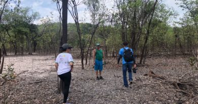 RDS Rio Negro e Puranga Conquista iniciam monitoramento de quelônios com coleta de ovos