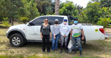 Governo do Amazonas investe na produção de sementes de malva em parceria entre Idam e Ufam