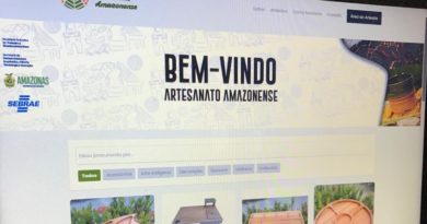 Plataforma on-line que beneficia artesãos do estado é lançada pela Secretaria de Trabalho e Empreendedorismo