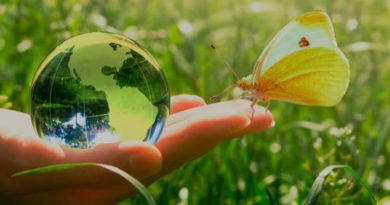 Economia de baixo carbono é tema do projeto Diálogos Amazônicos