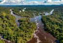 Pará reduz desmatamento em 2025 e consolida discurso ambiental no pós-COP30