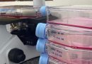 Pesquisa do Inpa transforma compostos da Amazônia em arma promissora contra o vírus da Zika