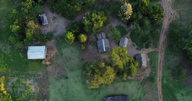 Amazonas reduz burocracia para acelerar reconhecimento de territórios indígenas e tradicionais