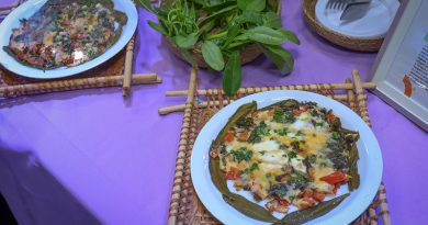 Pirarucu e banana pacovã levam merenda escolar de Manaus ao topo de concurso nacional Pirarucu e banana pacovã levam merenda escolar de Manaus ao topo de concurso nacional
