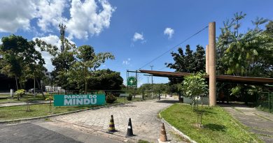 Banzerê no Mindu une música, memória e floresta urbana