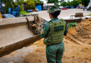 Guarda Municipal amplia proteção à fauna silvestre em Manaus