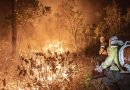 Amazonas registra 1,3 mil focos de calor em apenas 12 dias