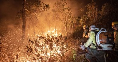 Amazonas registra 1,3 mil focos de calor em apenas 12 dias Amazonas registra 1,3 mil focos de calor em apenas 12 dias